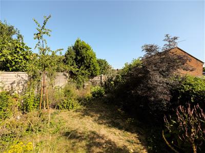 Picture 26